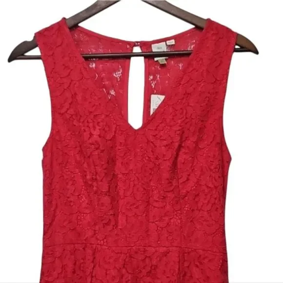 New Anthropologie Seen Worn Kept Elegant Pink Rose Lace V-neck Dress Size 4 - Picture 4 of 7